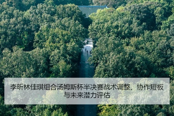 li-xin-lin-jia-qi-zu-he-tang-mu-si-bei-ban-jue-sai-zhan-shu-tiao-zheng-xie-zuo-duan-ban-yu-wei-lai-qian-li-ping-gu-2-909.jpg